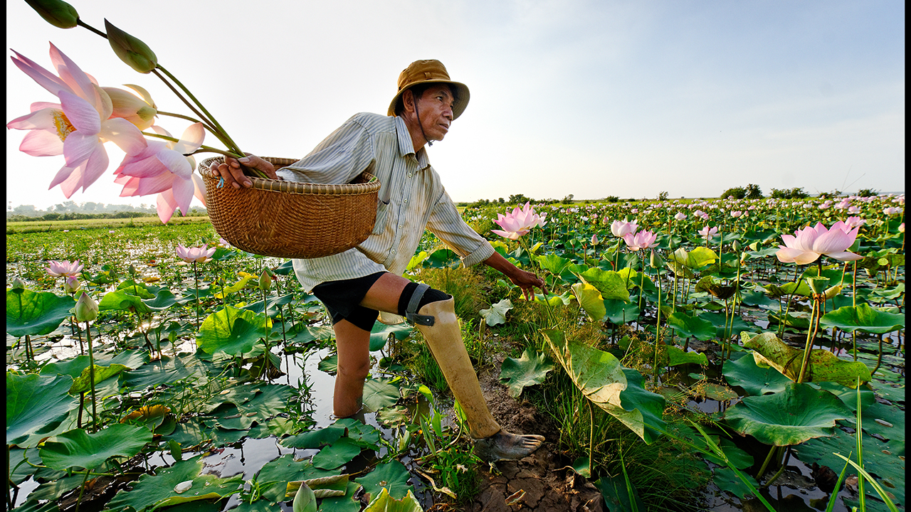 Stratégie 2016-2025
